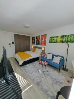 Studio Apartment in East Perth - 2