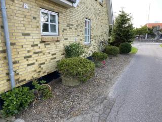 4 star holiday home in Hals - 9