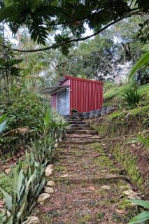 Jungle Cabin w Pool & Nature Trails - Venecia - 9