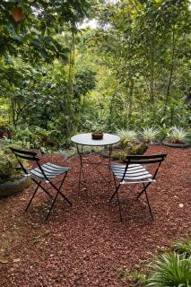 Jungle Cabin w Pool & Nature Trails - Venecia - 7