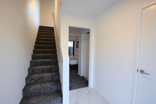 Lively 2BR Retreat near Te Kaha Stadium - 7