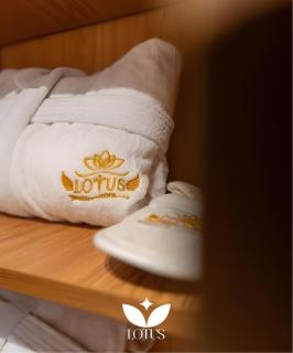 Lotus Home - Tahrir Square - Cairo - 8