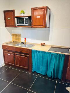 Sermie T2 climatisé avec piscine - 3