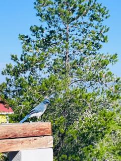 Casa De Campo Mirador H&L - 7