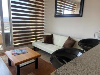 Soleado con hermosa vista a Viña del Mar - 7