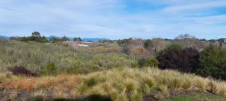 Āporo bach - a country retreat - Tasman - 1