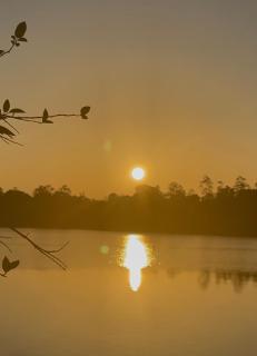 Pivithuru River Cabanas - 8