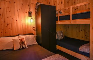 Refuge du Kodiak BORD DE L EAU - 1