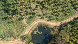 Cove by Raho - Nestled Away Retreat - 1