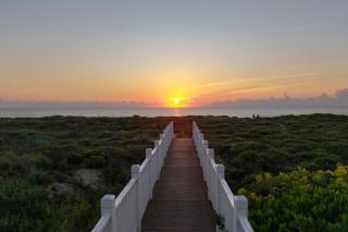 8242 Breakers Blvd, home - 8