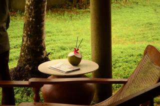 Kadavu - Backwater home near Kumarakom & Kochi - 8