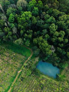 The Anexure - Great Estate Stay for Remote Work - 7