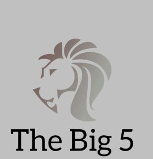 The Big 5 - Lion - Four Ways - 0