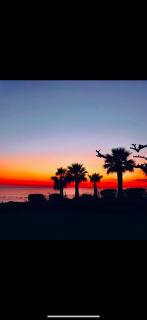 Georgia Apartments - 9