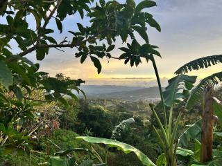 Magic Lodge - Cirrí - 4