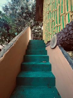 Treehouse Retreat - Kochi - 5