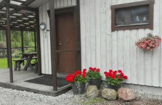 Läeahon Omena Holiday house in the middle of nature - 1