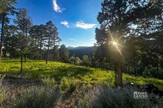 Alto Vista Cottage - 2