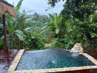 Marangga Villas Ubud Valley View & Private Pool - 9
