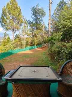 Nayantaara by the lake & woods - 4