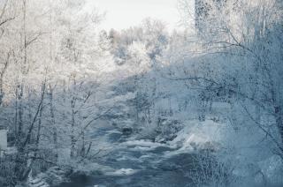 Zhi Resort - Riverside - 9