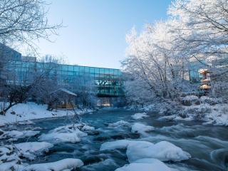 Zhi Resort - Riverside - 0