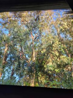 La vuelta y el vaso - 2