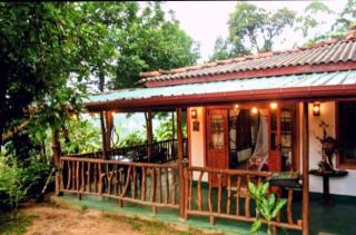 Bliss In Viya ella - 4