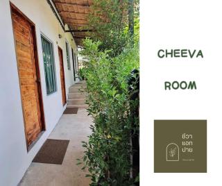 Cheeva at pai ชีวา แอท ปาย - 2