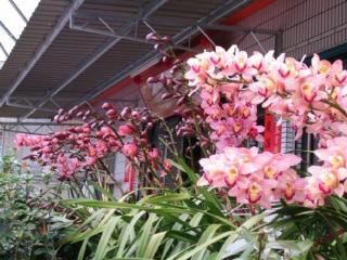 瑞里瑞泰民宿 - 1