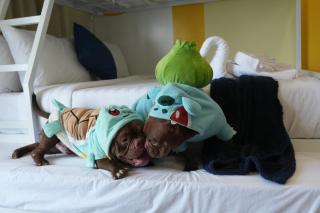 Sapphire Seaview Park Suites near Okada, Solaire, MOA, NAIA Airport, Bayview - 0