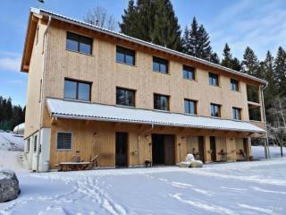Dog-friendly holiday apartment in Bregenzerwald - 0
