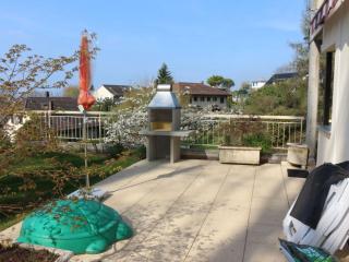 Blonay Holiday Apartments - 5