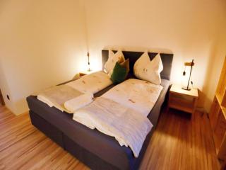 Dog-friendly holiday apartment in Bregenzerwald - 1