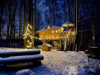 Treehous Sněžník s wellness - 9