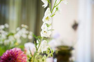 De IJsvogel - Het échte Veluwegevoel - 8