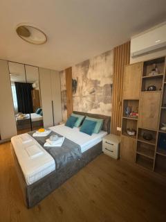 Desire Luxury Apartment with private garage - 6