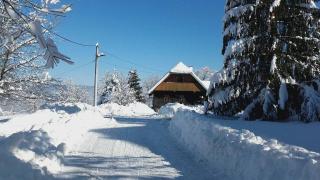 Rustic home Mia - Duga Resa - 4