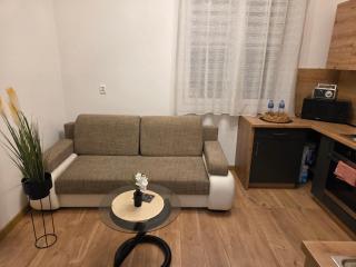 Apartament LENKA - 2
