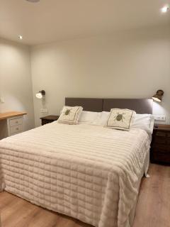 Cangas de Onís CENTRO - 5