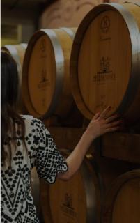 Sella&Mosca Casa Villamarina - Alghero - 6