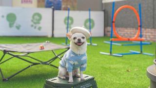 Anmyeondo Town 1967 Dog Pool Villa - 7