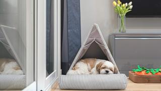 Anmyeondo Town 1967 Dog Pool Villa - 2