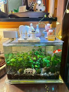 竹亮山莊民宿 - 3