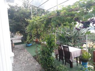 OYO Life 91323 Omah Victoria Homestay & Culinary - 9