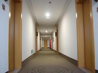 GreenTree Inn Pingdingshan Wanda Plaza Branch - 9