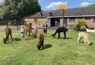 Minicamping De Lindenhoeve - Safaritent Varkentje - 3