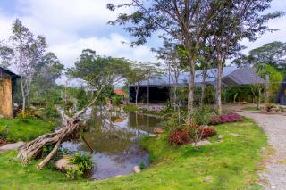 The Xanh AN Homestay3 - 1