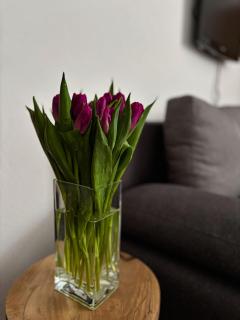 Ubytování pod Borovou - 9