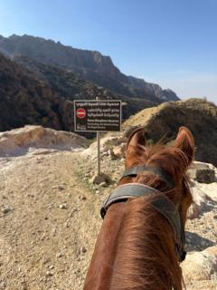 Dana luxury huts - 8